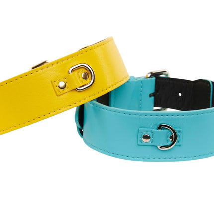 Turquoise Italian Leather/Silver Classic Hardware Collar & Yellow Italian Leather/Classic Gold Hardware Set