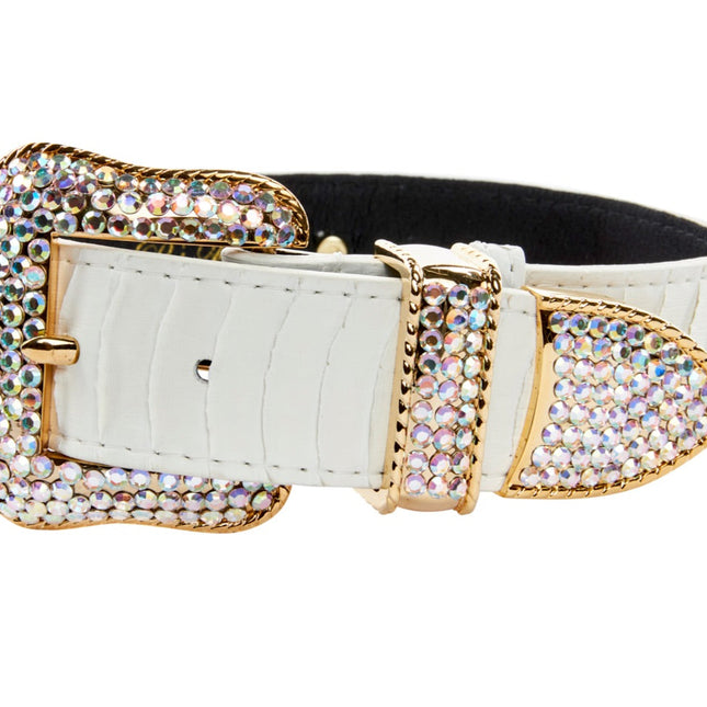 Matte White Snake Collar With Gold Swarovski Crystal Hardware Collar