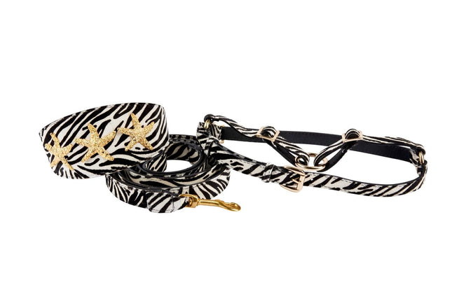 Zebra Print Hair On Hide Italian Leather 3” Wide Collar With Gold Starfish, Leash & Harness Set