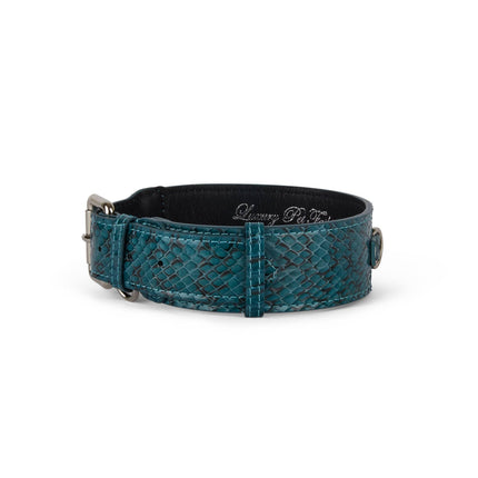 Teal and Black Snake Classic Collar