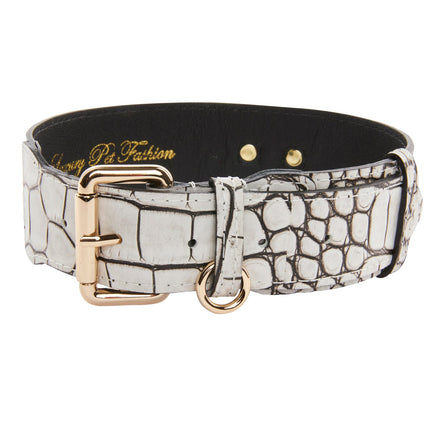 Dark Brown/Off White Embossed Croc Italian Leather Classic Collar With Gold Classic Hardware