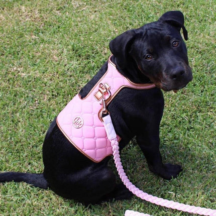 The Peony Dog Harness