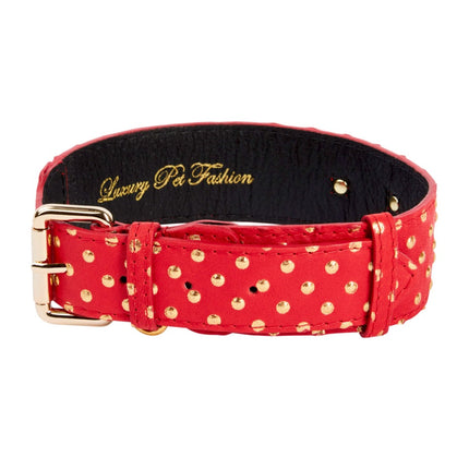 Red & Gold Polka Dot Italian Leather Classic Collar