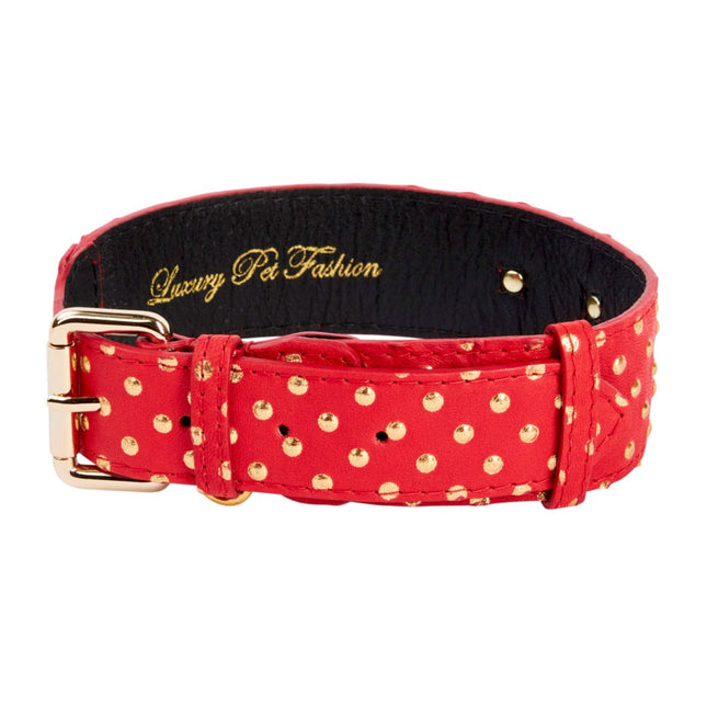 Red & Gold Polka Dot Italian Leather Classic Collar