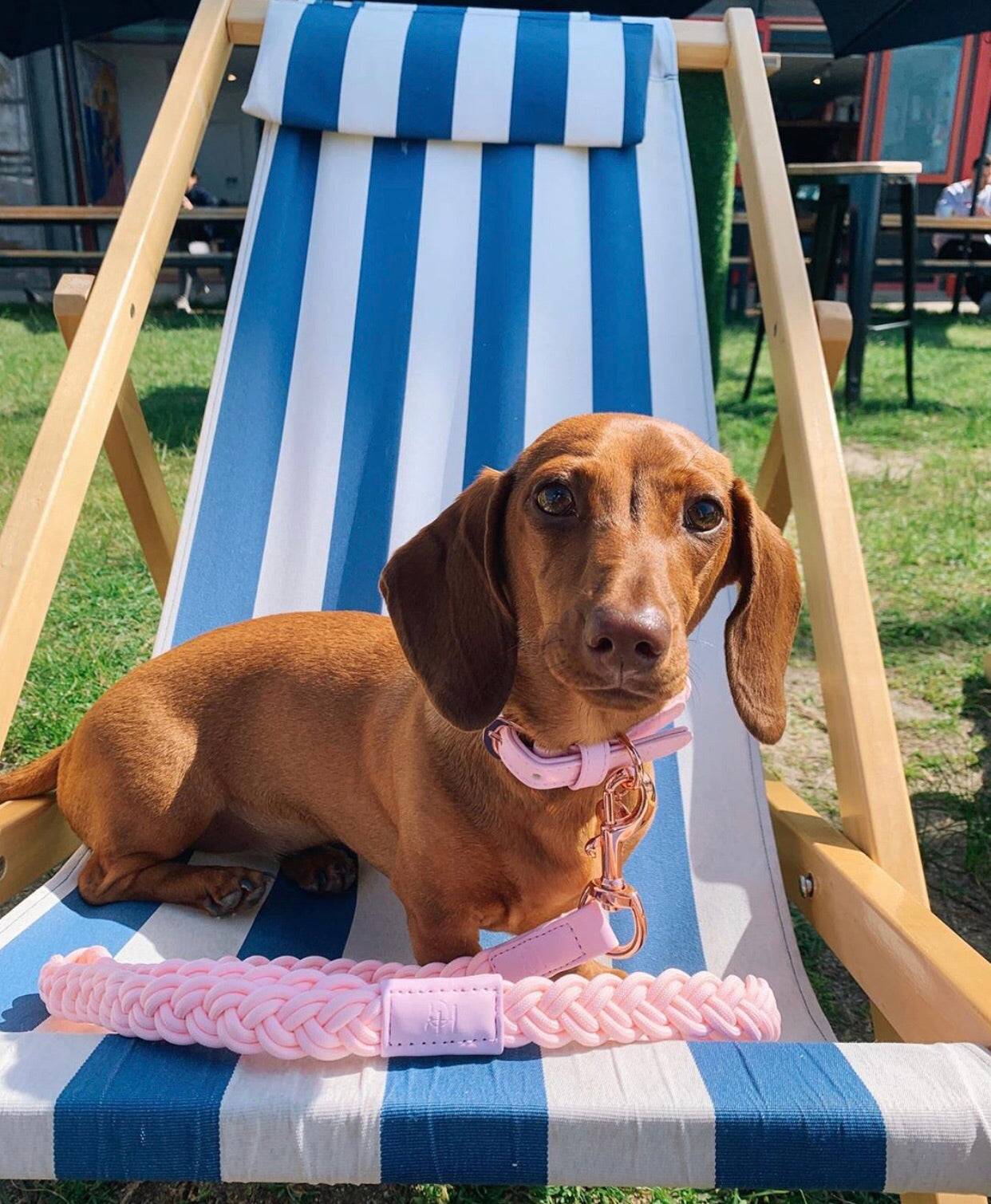 Dog Lead Baby Pink Plaited