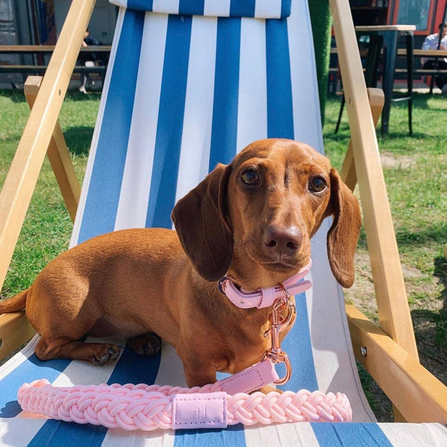 Dog Lead Baby Pink Plaited