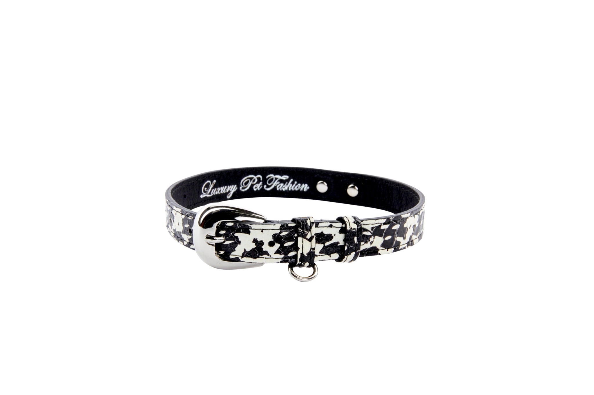 Black & White Snake Collar With Silver Oval Hardware