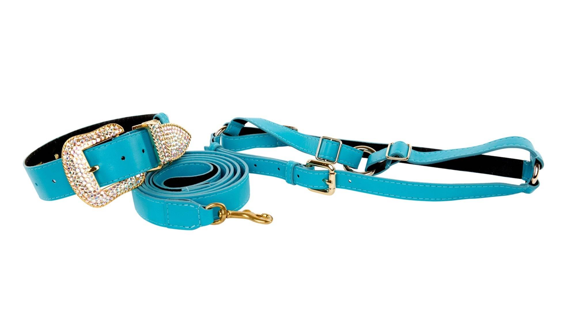 Aqua Blue Italian Leather/Swarovski Crystal Collar, Leash, Harness Set