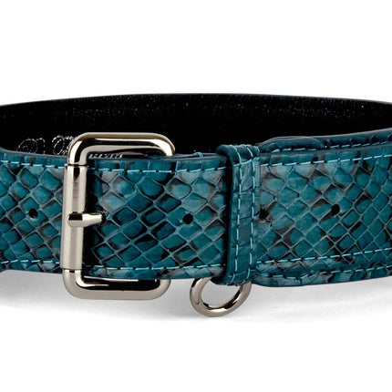 Teal and Black Snake Classic Collar