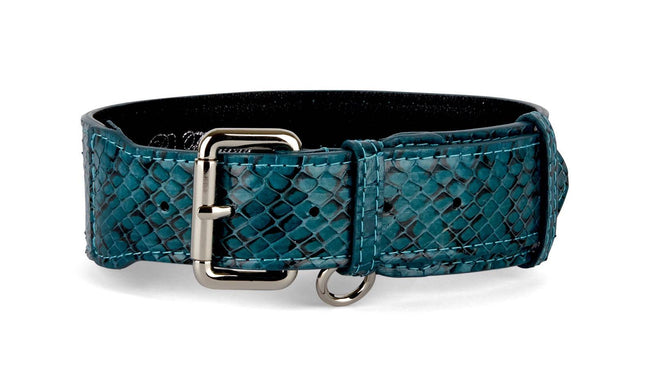 Teal and Black Snake Classic Collar