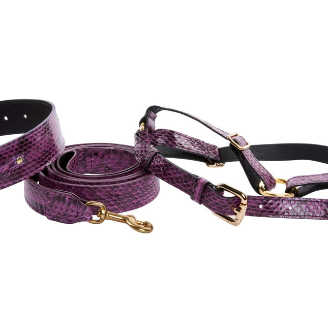 Purple & Black Viper Snake Swarovski Collar, Leash, Harness Set