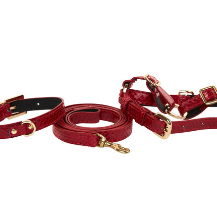 XS Red Viper Snake Collar, Leash, Harness Set