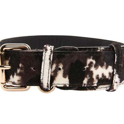 Brown, Black & White Hair On Hide Collar With Classic Gold Hardware