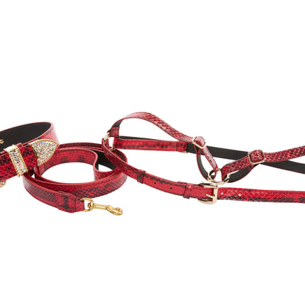 XL Red & Black Snake, Swarovski Crystal Collar Leash Harness Set