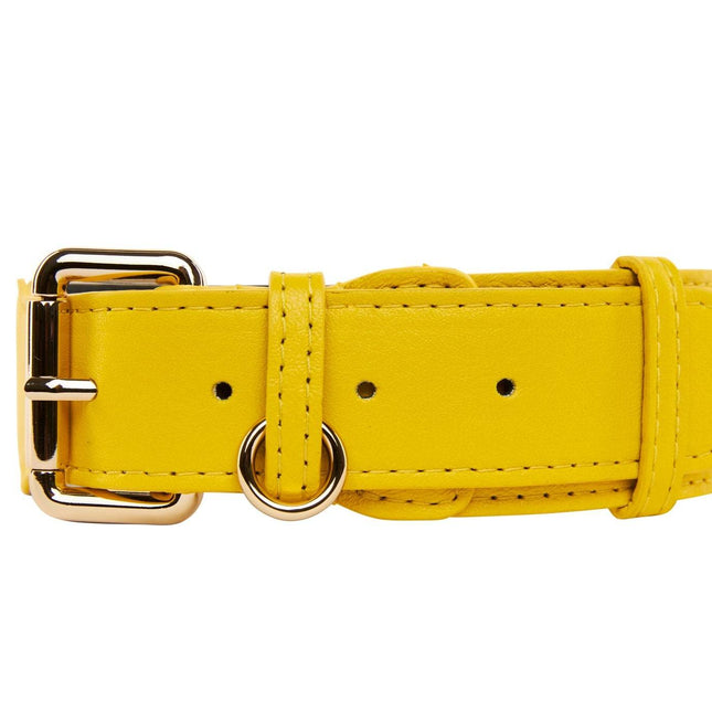 Yellow Italian Leather Classic Collar/Gold Classic Hardware