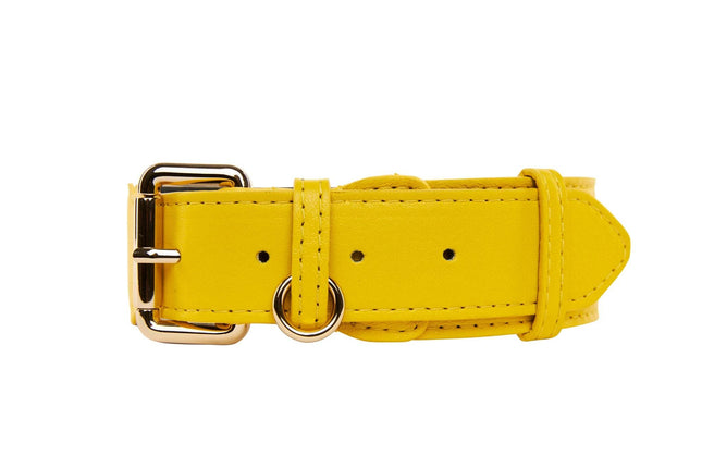 Yellow Italian Leather Classic Collar/Gold Classic Hardware