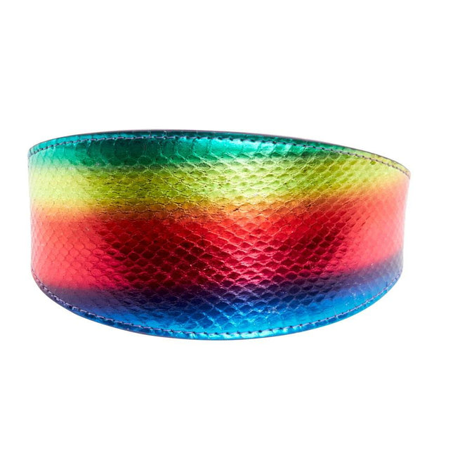 Pride Collection. Rainbow Snake 3” Wide Style Collar