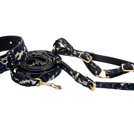 Dark Navy Lace On Gold Italian Leather Classic Collar, Leash & Harness Set