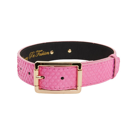 Luxury Pet Fashion Neon Pink Snake Collar With Our Modern Gold Hardware