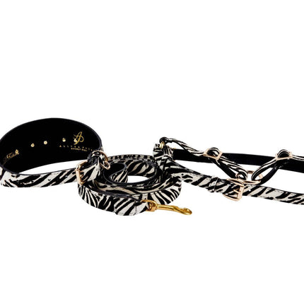 Zebra Print Hair On Hide Italian Leather 3” Wide Collar With Gold Starfish, Leash & Harness Set