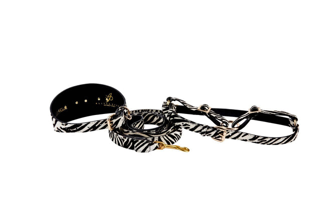 Zebra Print Hair On Hide Italian Leather 3” Wide Collar With Gold Starfish, Leash & Harness Set