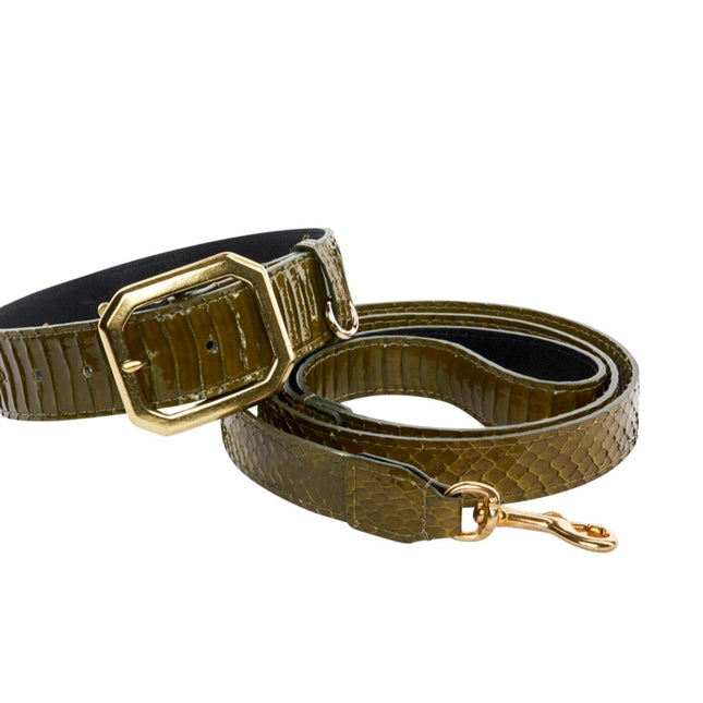 Olive Green Snake Collar & Leash Set