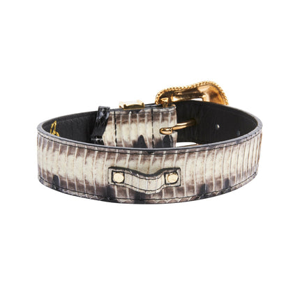 Off White/Black Snake With Gold Swarovski Crystal Hardware Collar & Leash Set