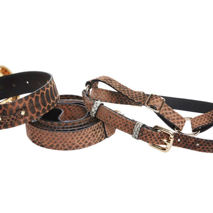 Brown/Black Embossed Snake Italian Leather Collar With Swarovski Crystal Hardware Leash & Harness Set