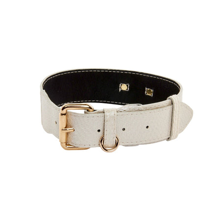 Iridescent Off White Snake Collar With Gold Classic Hardware