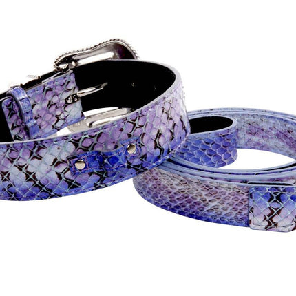 Purple/Silver/Black Custom Iridescent Snake/Swarovski Crystal Collar & Leash Set