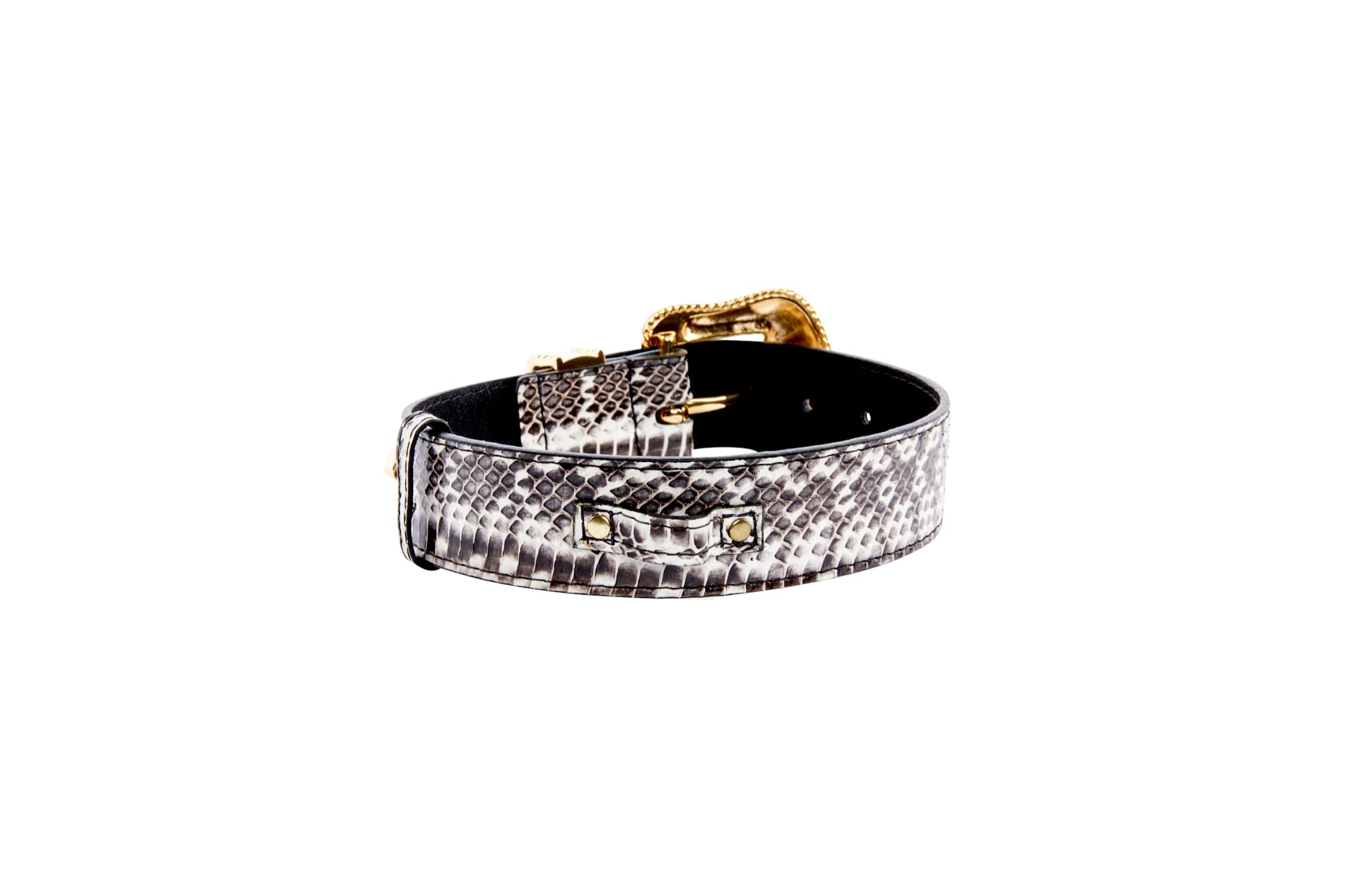 Black & White Viper Snake Collar With Gold Swarovski Crystal Hardware