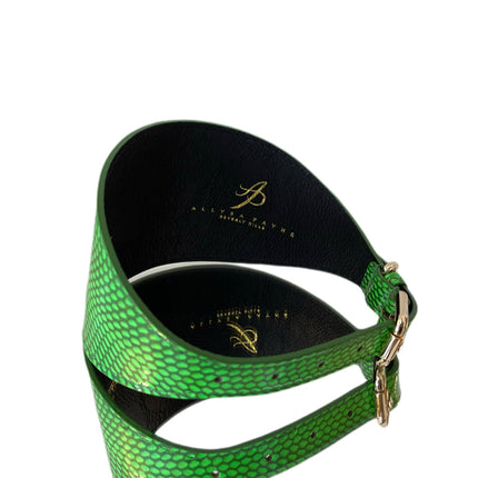 Luxury Pet Fashion Neon Green Snake 4” Oval Collar