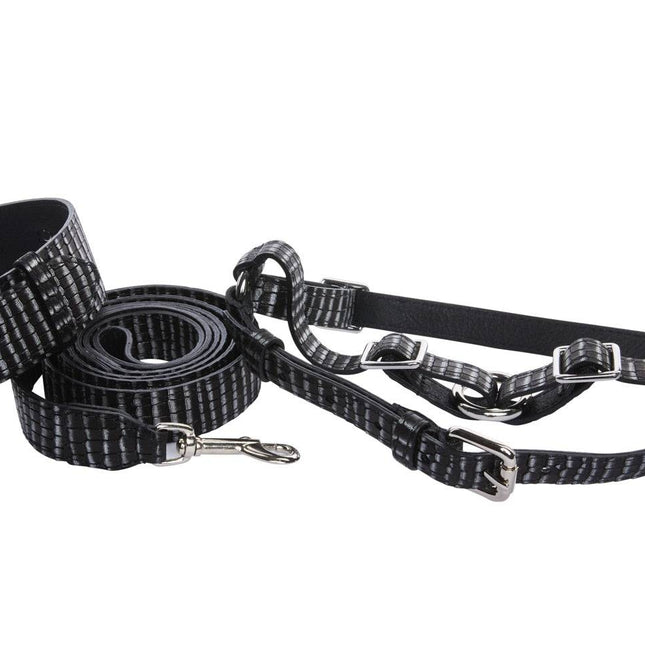 Black & Silver Striped Italian Leather Classic Collar, Leash & Harness Set With Silver Hardware