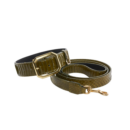 Olive Green Snake Collar & Leash Set