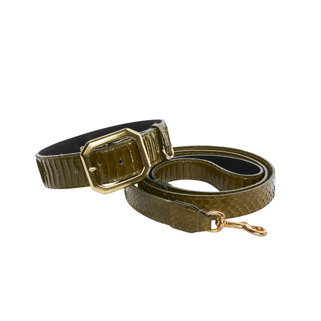 Olive Green Snake Collar & Leash Set