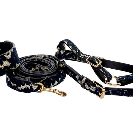 Dark Navy Lace On Gold Italian Leather Classic Collar, Leash & Harness Set