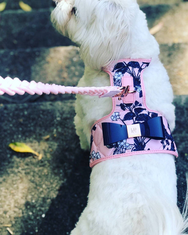 The Blossom Dog Harness