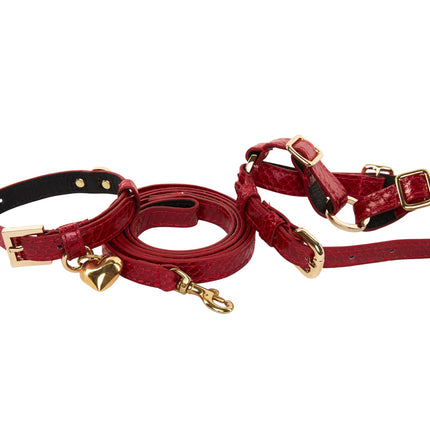 XS Red Viper Snake Collar, Leash, Harness Set