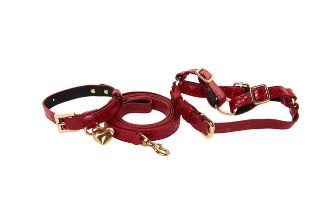 XS Red Viper Snake Collar, Leash, Harness Set