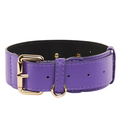 Purple Italian Leather Classic Collar