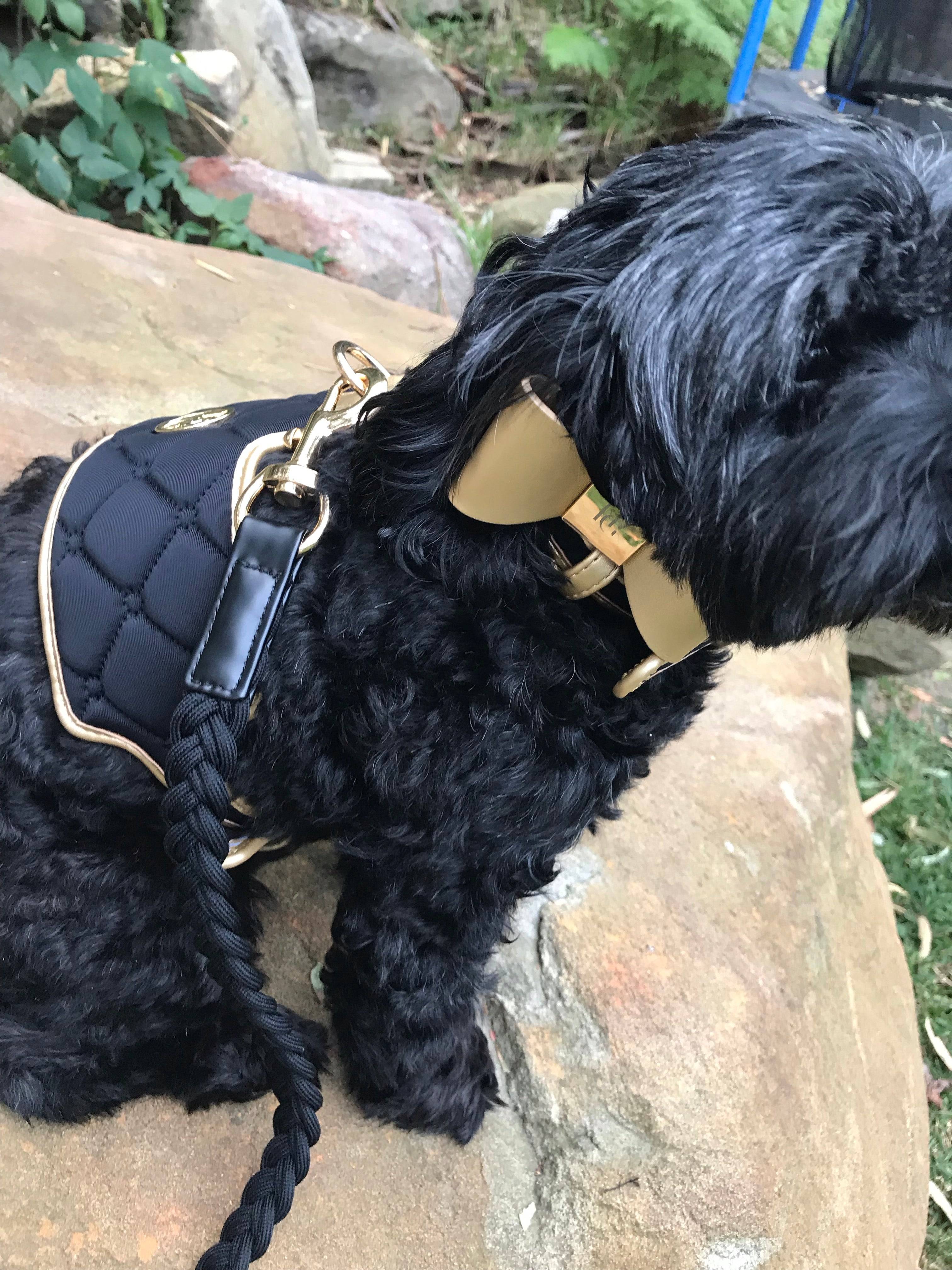 The Midnight Dog Harness