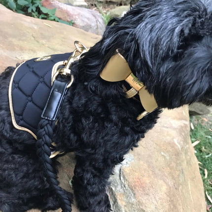 The Midnight Dog Harness