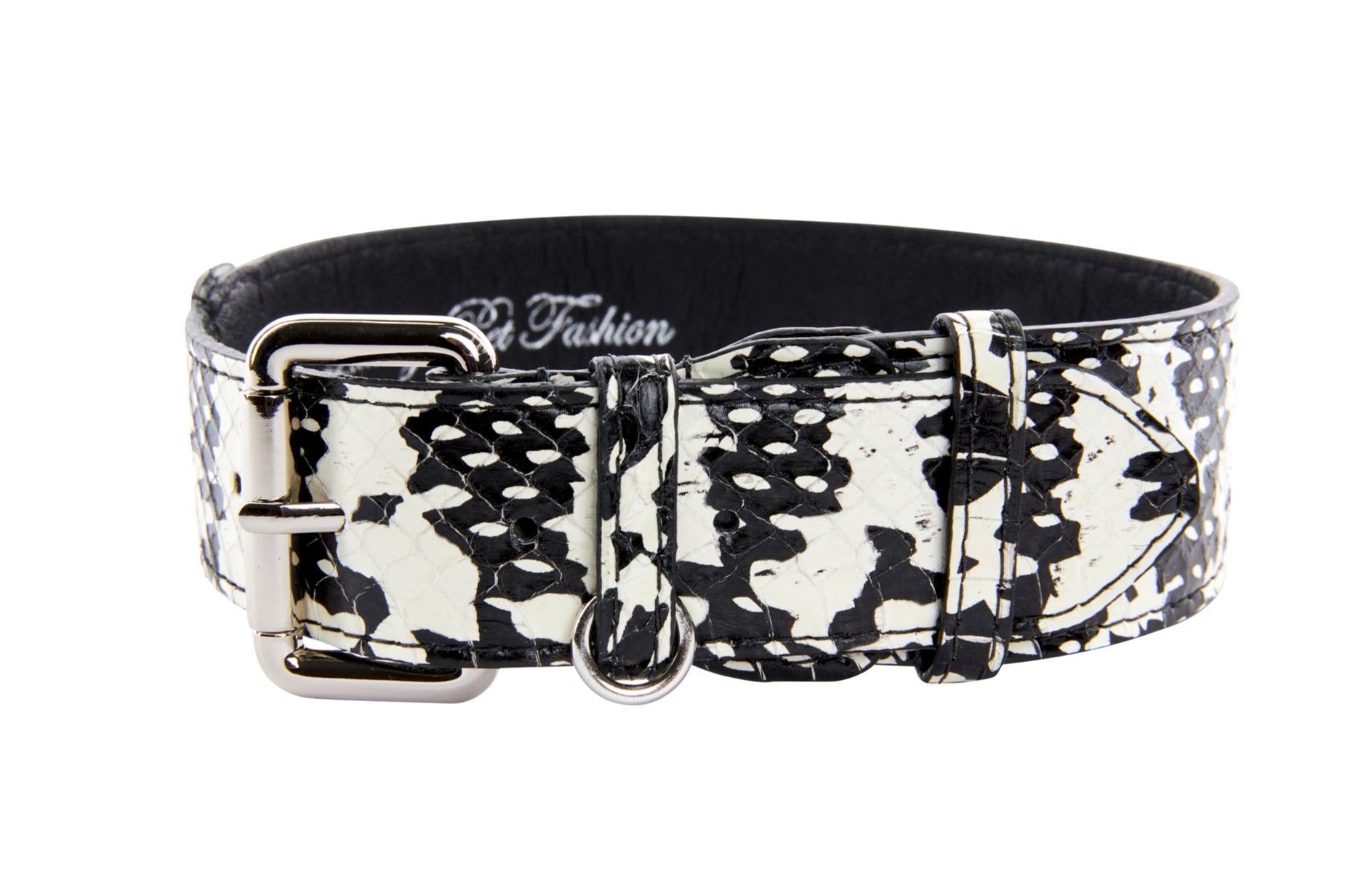 Black & White Snake/Classic Collar With Silver Hardware