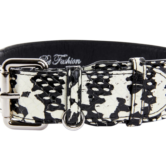 Black & White Snake/Classic Collar With Silver Hardware