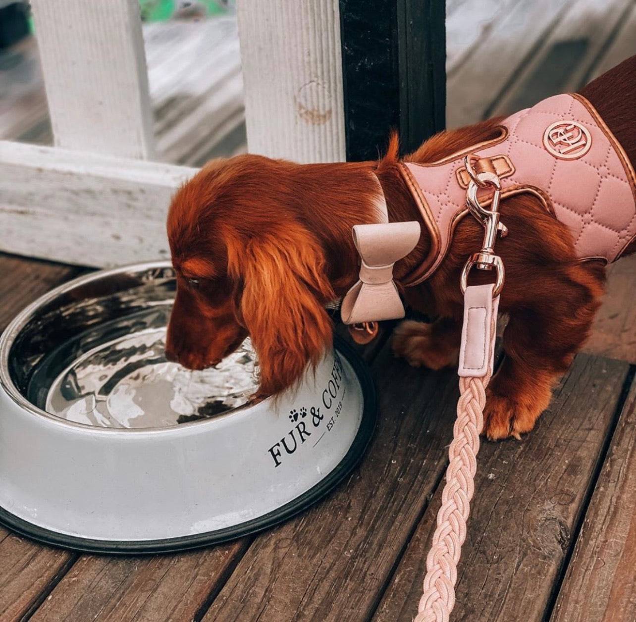 Leather Bow Collar - Blush