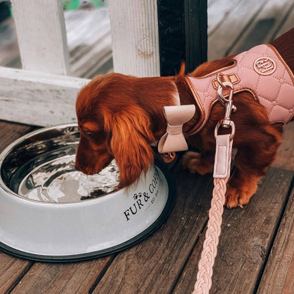 Leather Bow Collar - Blush