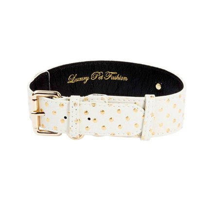 White & Gold Polka Dot Italian Leather Classic Collar