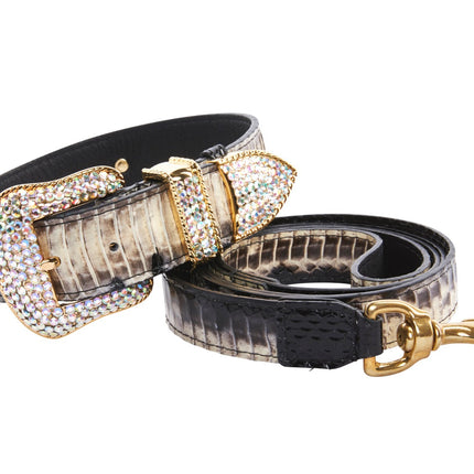 Off White/Black Snake With Gold Swarovski Crystal Hardware Collar & Leash Set