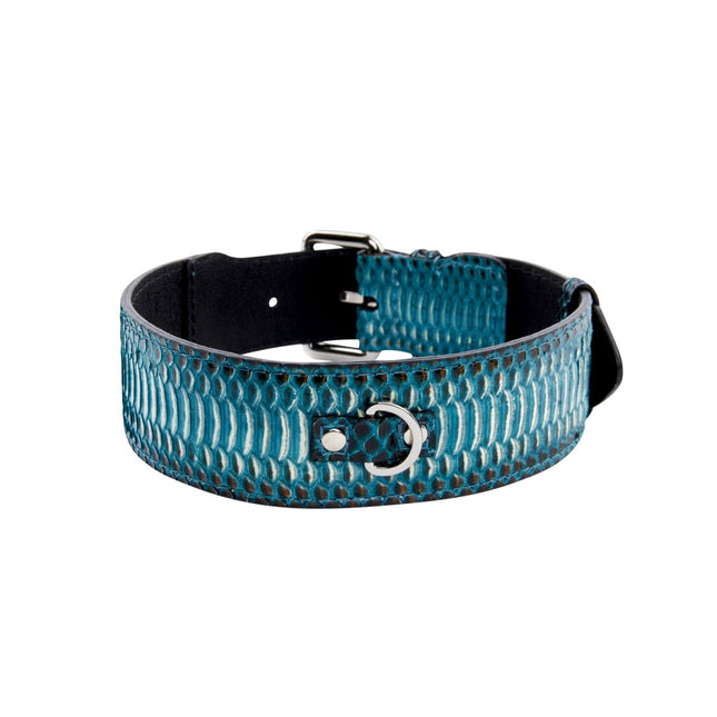 Turquoise, Black Snake Classic Collar With Silver Classic Hardware