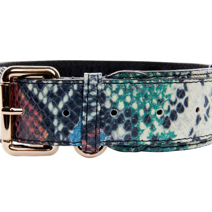 Green, Blue, Black, Red Embossed Snake Italian Leather Collar With Gold Classic Hardware